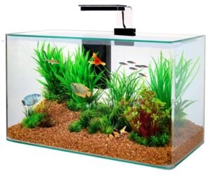 Zolux Aquarium Clear Kit Zwart 32 L