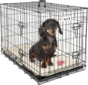 MaxxPet Hondenbench Opvouwbaar met Plaid – 76 × 48 × 53 cm – Zwarte Metalen Bench voor Middelgrote Honden
