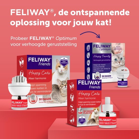 Feliway Friends Happy Cat Refill - 48 ml - Image 4